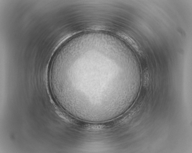 X0000116151039200912071259