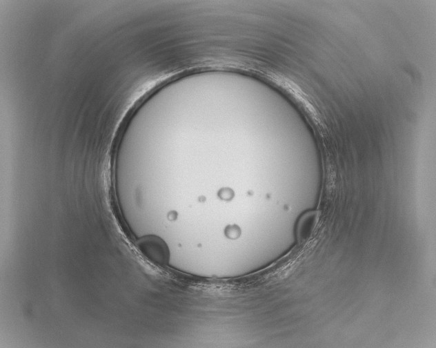 X0000116151040200912071259