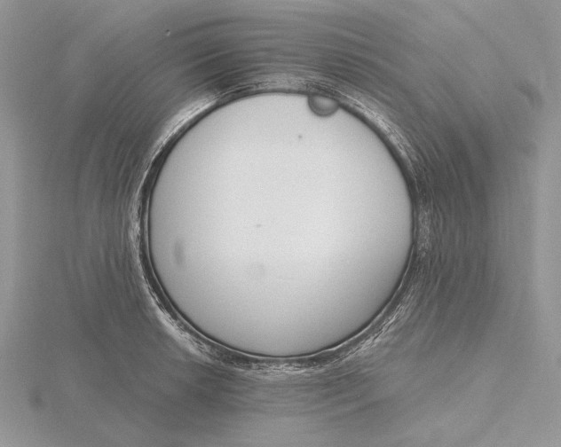 X0000116151042200912071259