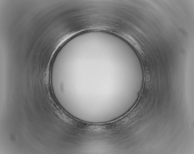 X0000116151044200912071259