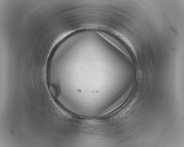 X0000116151045200912071259