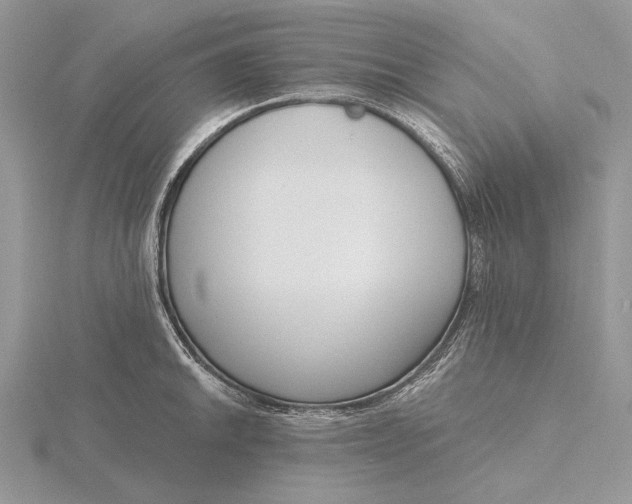 X0000116151046200912071259