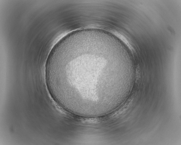 X0000116151047200912071259