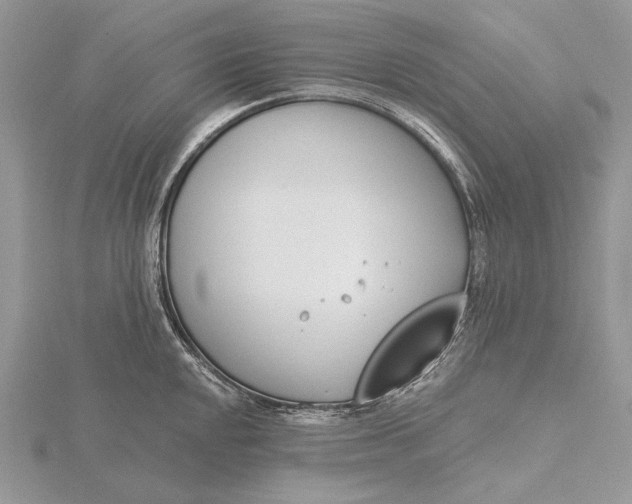 X0000116151048200912071259