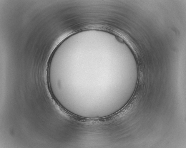 X0000116151050200912071259