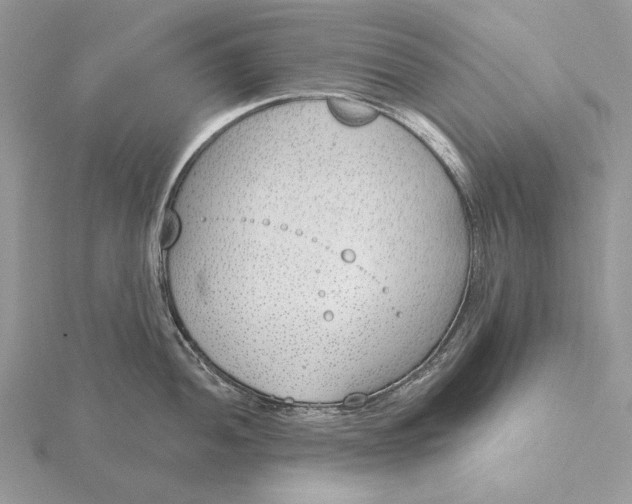 X0000116151052200912071259