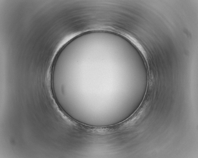 X0000116151053200912071259