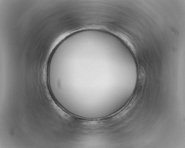 X0000116151054200912071259