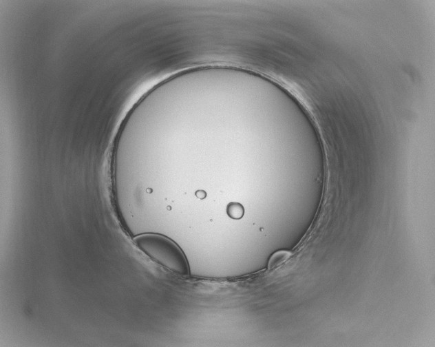 X0000116151056200912071259