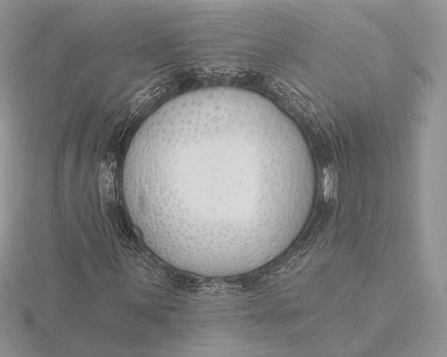 X0000116151059200912071259