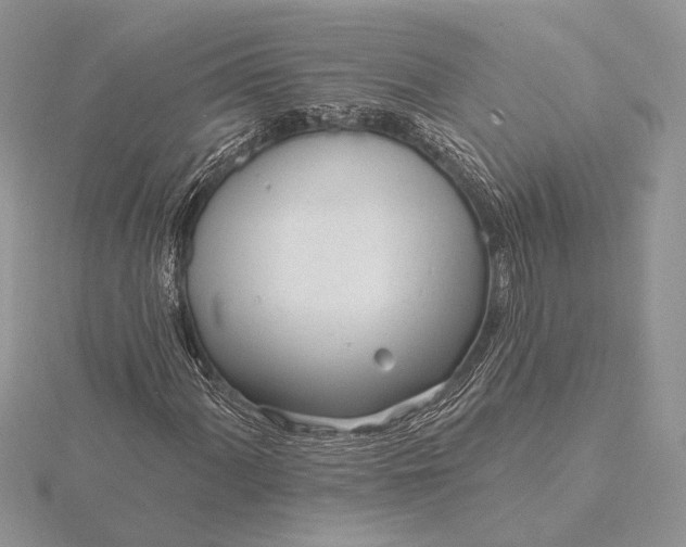 X0000116151060200912071259