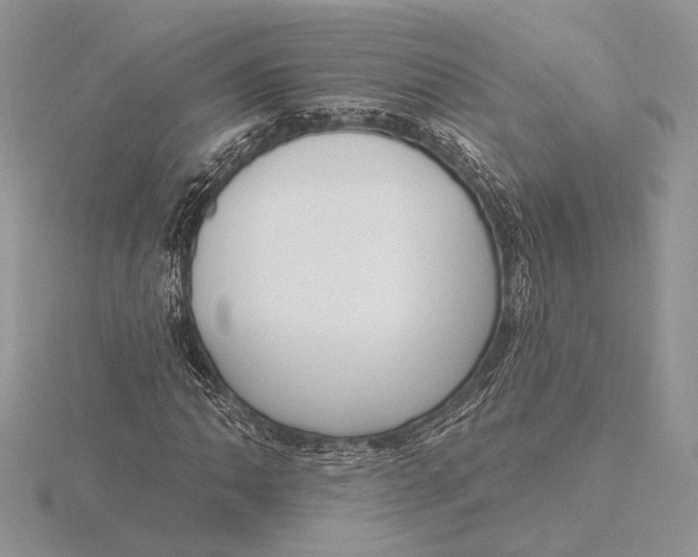 X0000116151062200912071259