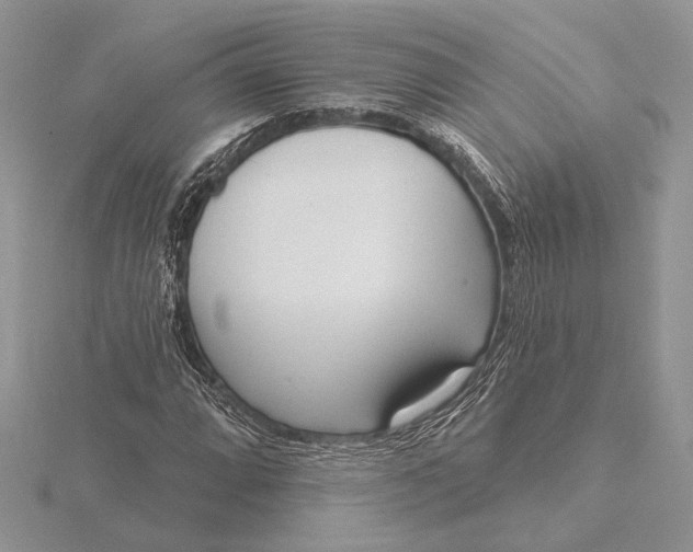 X0000116151064200912071259