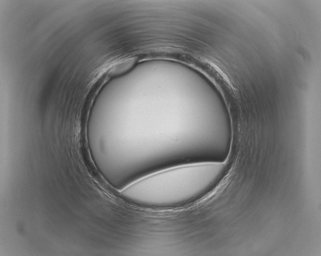 X0000116151065200912071259