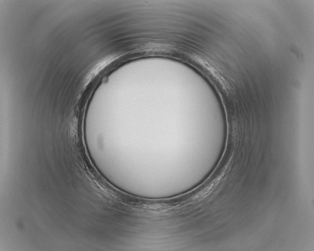 X0000116151066200912071259