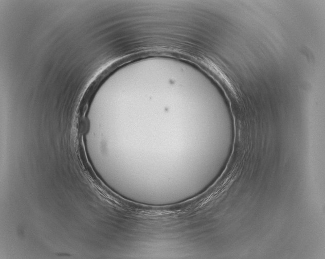 X0000116151068200912071259