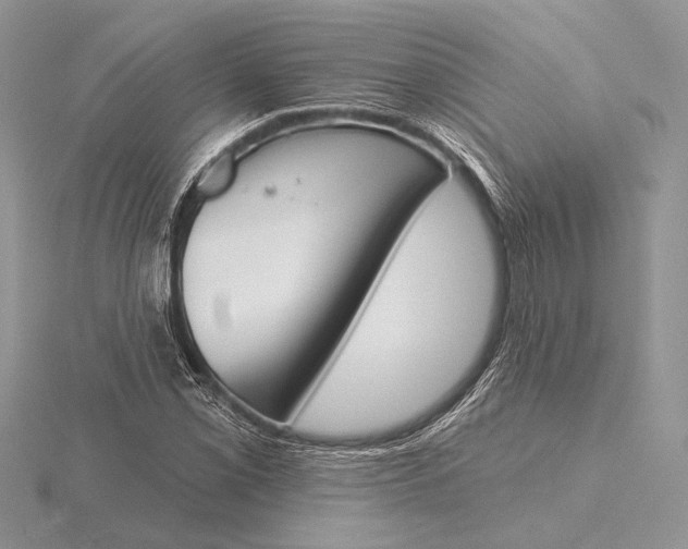 X0000116151069200912071259