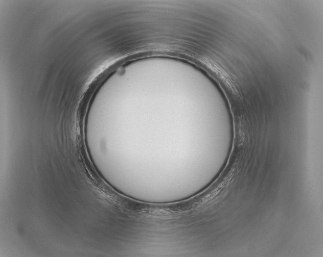 X0000116151070200912071259