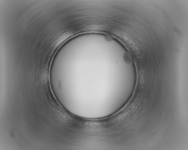 X0000116151073200912071259