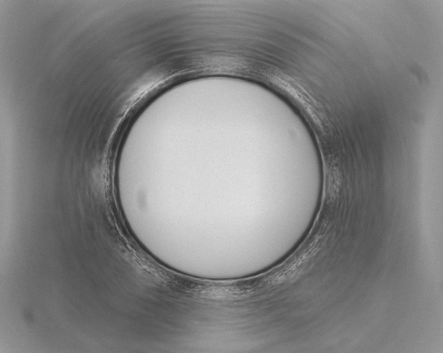 X0000116151074200912071259