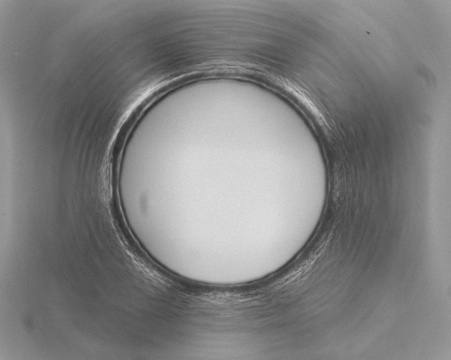 X0000116151075200912071259