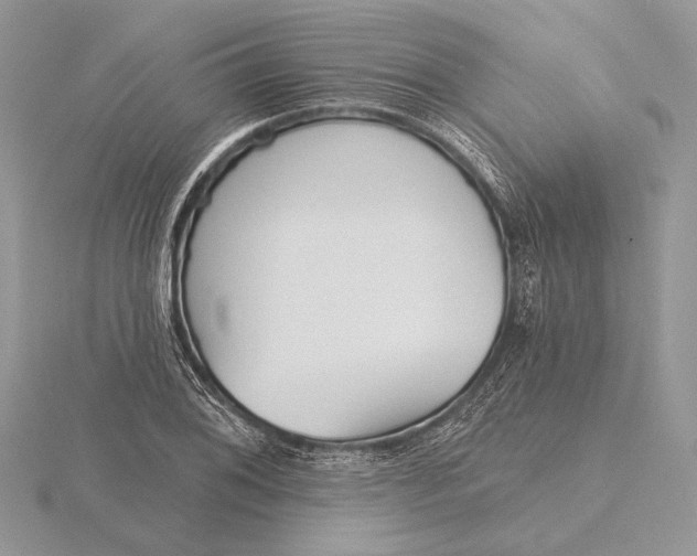 X0000116151076200912071259