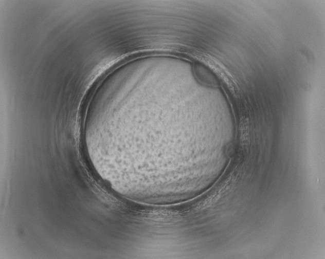 X0000116151077200912071259