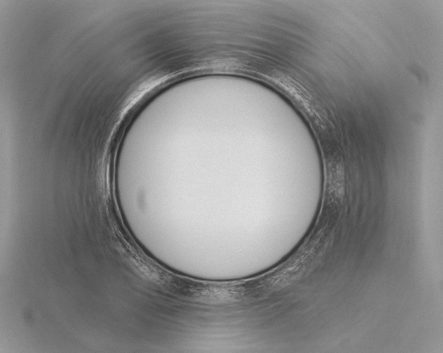 X0000116151078200912071259