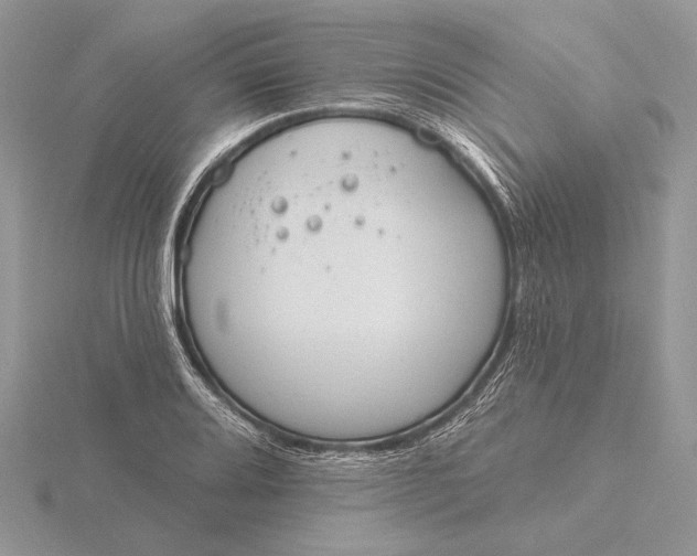 X0000116151080200912071259