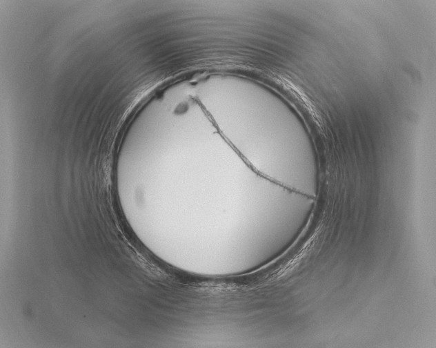 X0000116151081200912071259