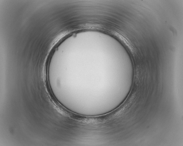 X0000116151082200912071259