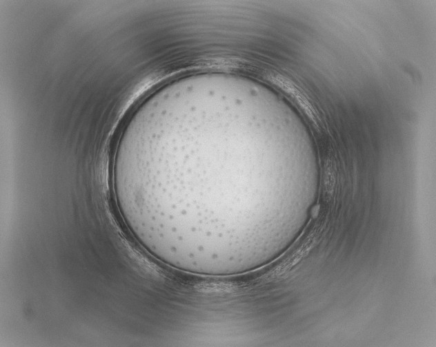 X0000116151083200912071259