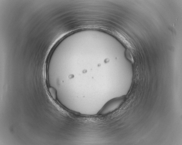 X0000116151084200912071259