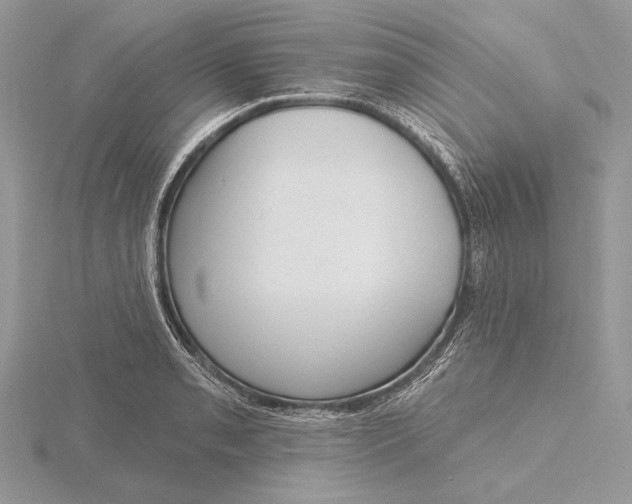 X0000116151085200912071259