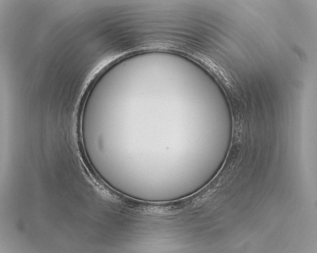 X0000116151086200912071258