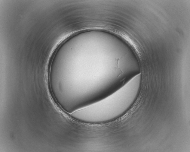 X0000116151088200912071258