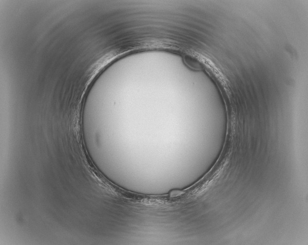 X0000116151089200912071258