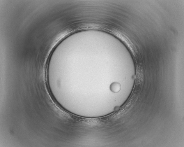 X0000116151090200912071258