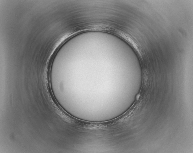 X0000116151091200912071258