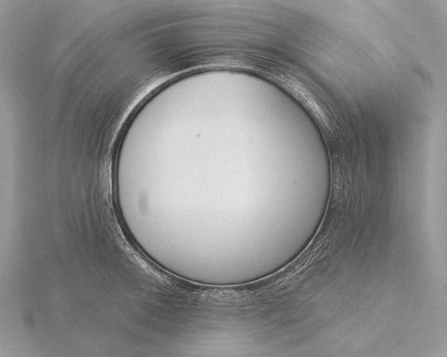 X0000116151092200912071258