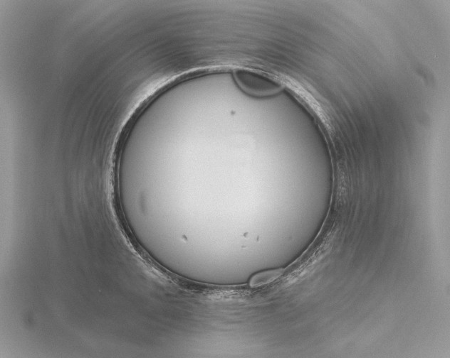 X0000116151093200912071258