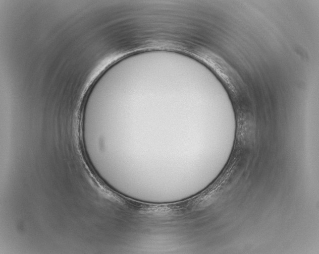 X0000116151094200912071258