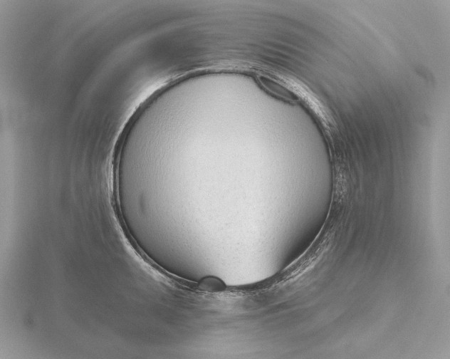 X0000116151095200912071258