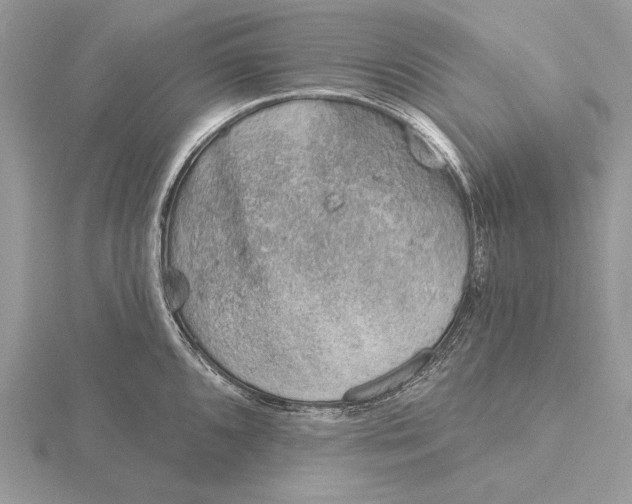 X0000116151096200912071258