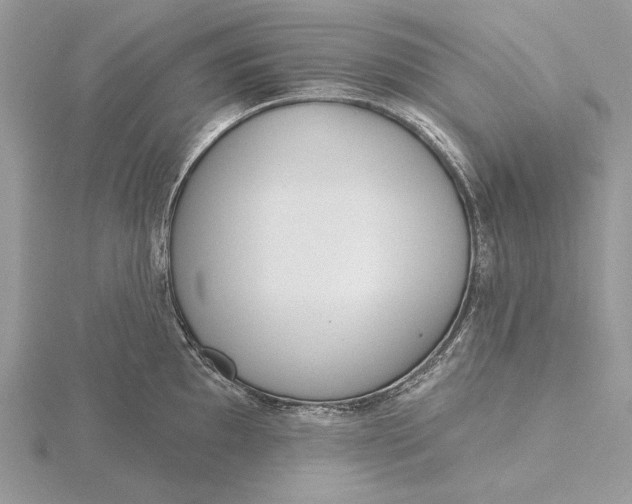 X0000116151097200912071258