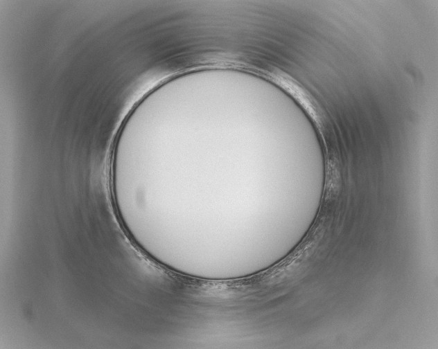 X0000116151098200912071258