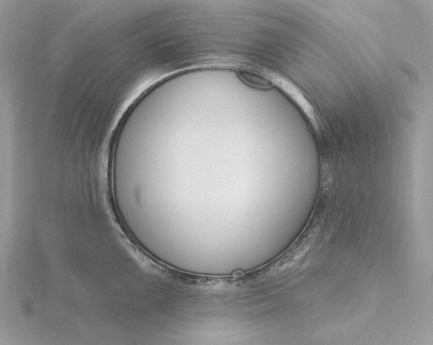 X0000116151099200912071258