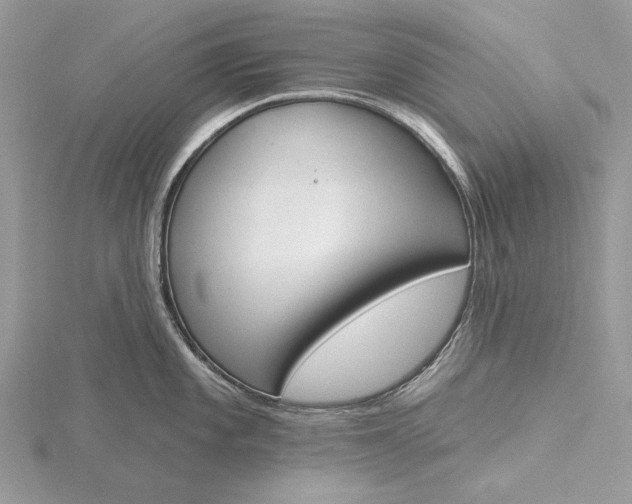 X0000116151101200912071258