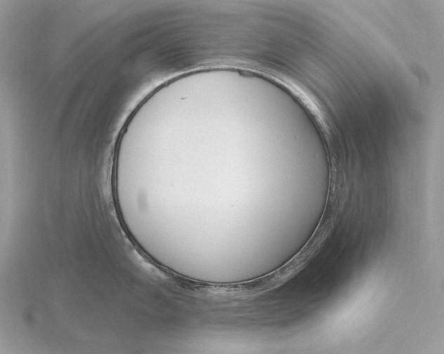 X0000116151102200912071258