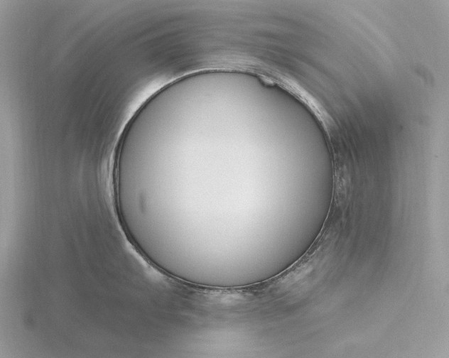 X0000116151103200912071258